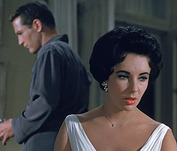 Elizabeth Taylor: The Movies