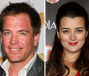Vote! Should 'NCIS' Stars Tony and Ziva Hook-Up?