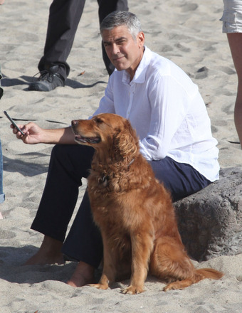 George Clooney enjoyed his new canine pal on the set of an Italian TV commercial in Malibu.