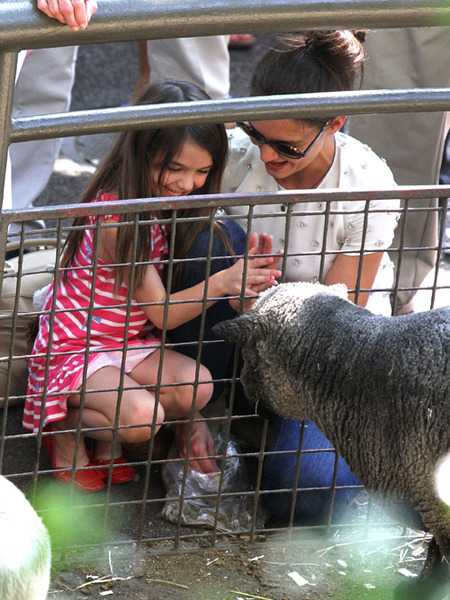 Tom Cruise and Katie Holmes Divorce: The Zoo