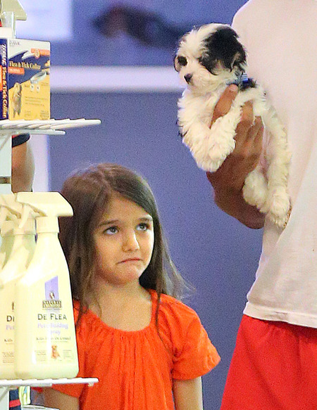 Suri Cruise Video Chats with Tom, Throws Fit over Puppy