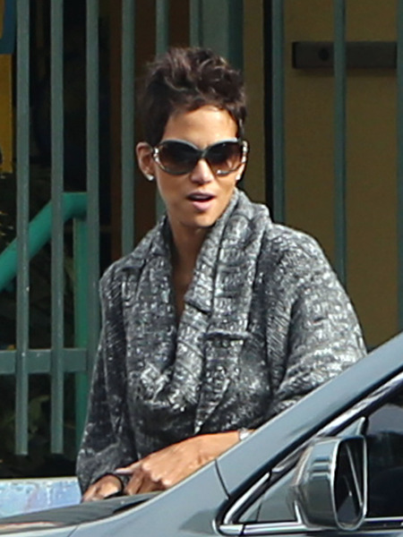 Halle Berry and Gabriel Aubry Call a Truce