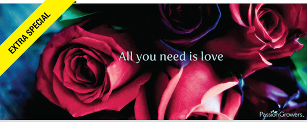 Win It! Passion Growers Roses