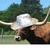 ze moo