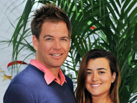 Vote! Should 'NCIS' Stars Ziva and Tony Hook Up?
