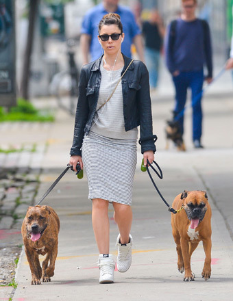 Jessica Biel took a stroll with her two dogs in NYC on Wednesday.