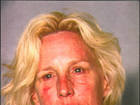 Erin Brockovich-Ellis Apologizes for Drunken Boat Arrest... See the Mug Shot!