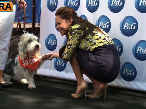 Video! Star-Studded NYC Takeover Shows Off 'Everyday Effect' of P&G
