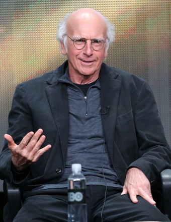 Will 'Curb Your Enthusiasm' Return for Season 9?