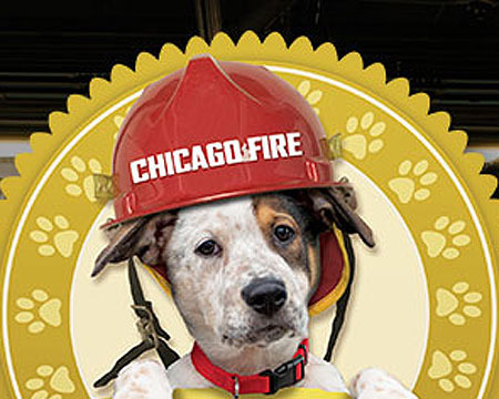 'Chicago Fire' Seeks to Honor Top Firehouse Dog
