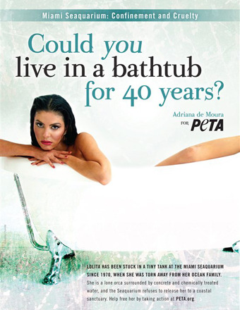 'Real Housewives' Star Adriana de Moura’s Racy New Peta Ad