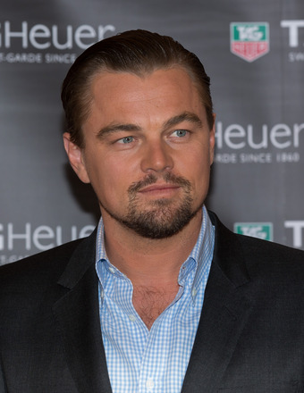 Does Leonardo DiCaprio Have a New Model Girlfriend?
