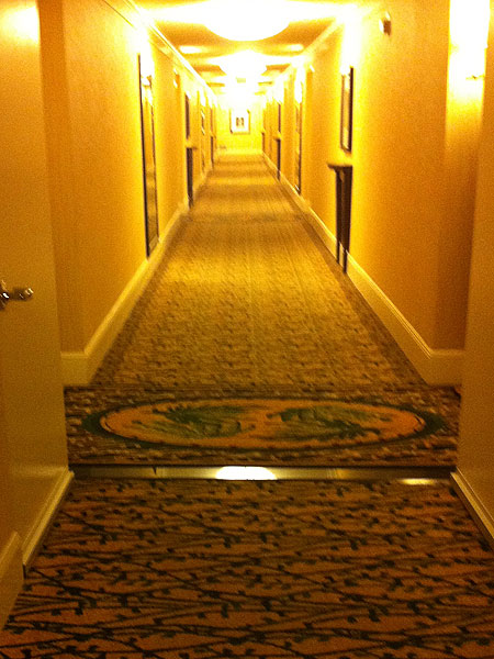 Splash News hotel.jpg