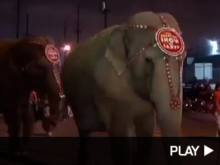 Circus elephants escorted into the Staples Center