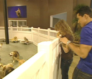 Extra Mario Lopez adopting a puppy