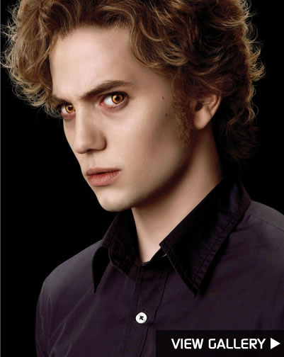 Summit Entertainment new moon promo poster twilight