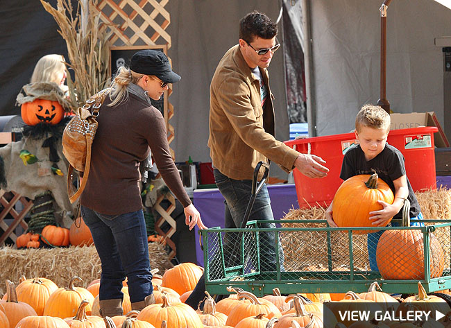 david boreanaz pumpkin patch halloween