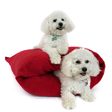 redburrowbed2dogs.jpg